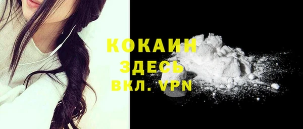 меф Ельня