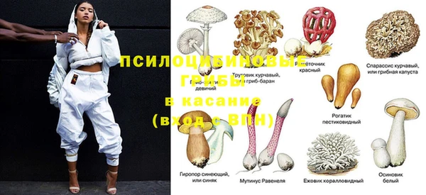 меф Ельня